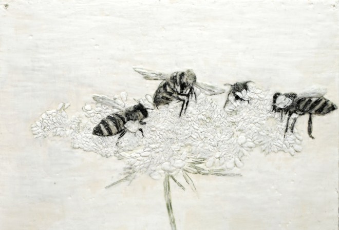 Bienen auf Schafgarbe