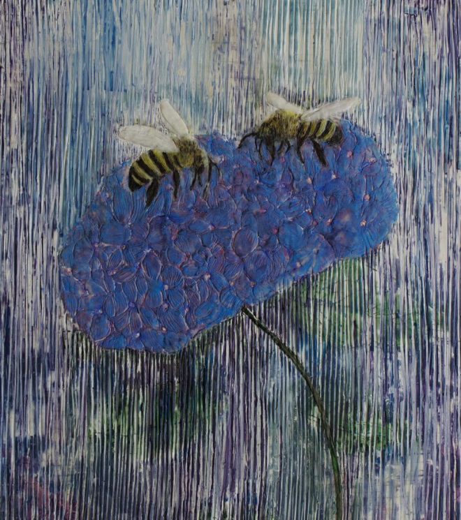 Bienen auf Hortensie 3