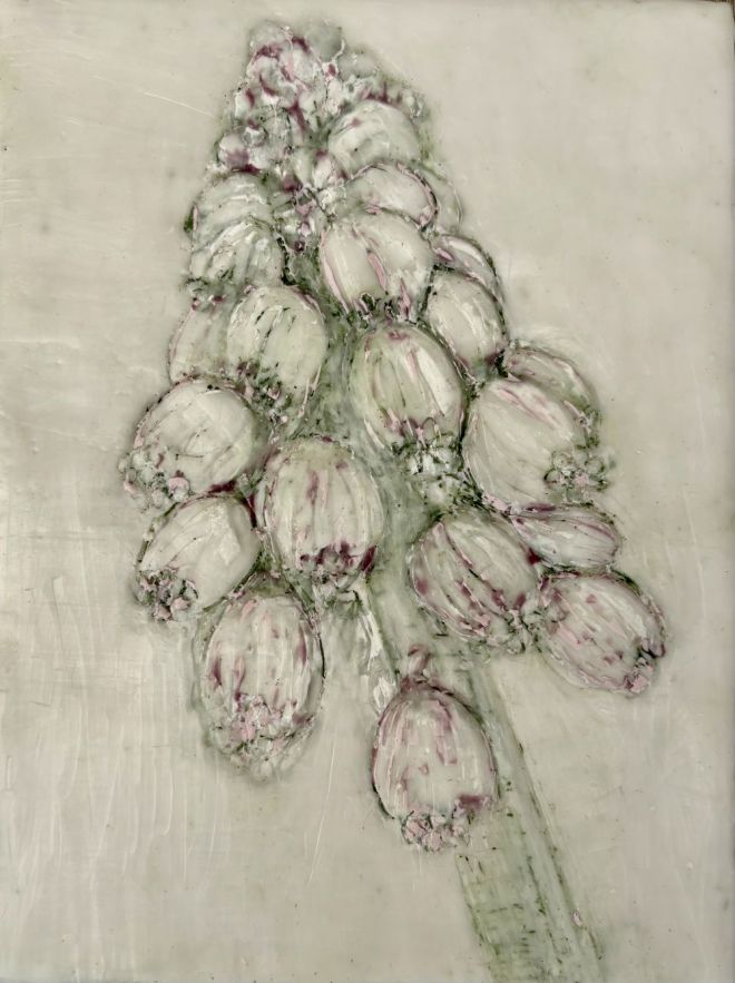 Glockenblume